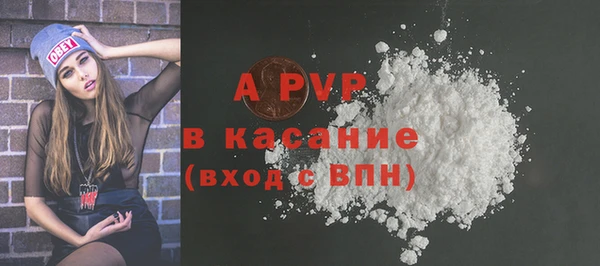 гашик Бородино