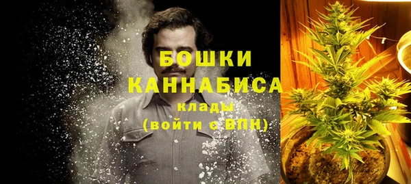 гашик Бородино
