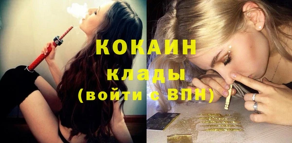 гашик Бородино