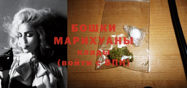 гашик Бородино