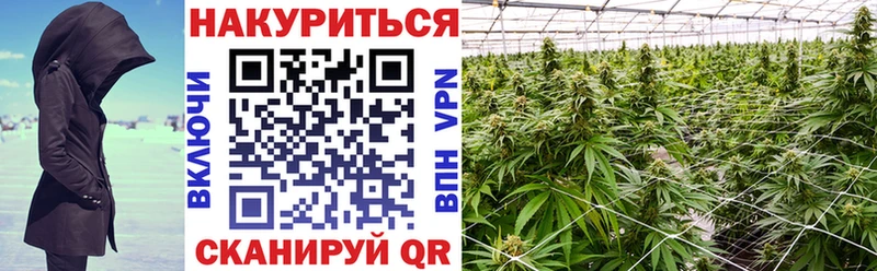 mega   Новохопёрск  Марихуана OG Kush 